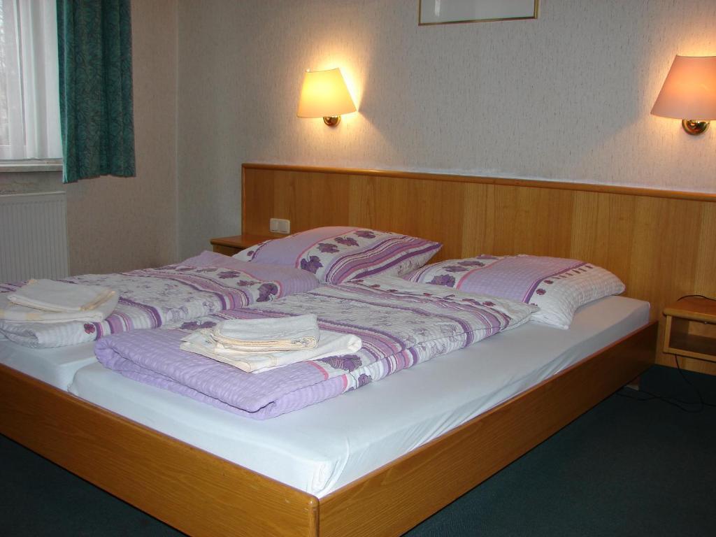 Hotel-Restaurant-Adler Reichenbach im Vogtland Δωμάτιο φωτογραφία